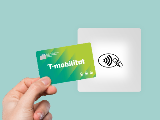 A personalised T-mobilitat card